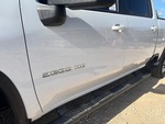 General Appearance with Paint