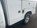 General Appearance with Paint