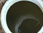 Engine with Radiator