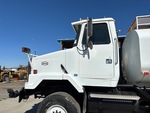 General Appearance with Paint