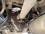 Underbody with Trasmissione
