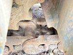 Undercarriage with