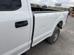 General Appearance with Paint