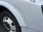 General Appearance with Pintura
