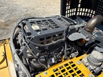Engine with Exhaust System