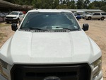 General Appearance with Paint