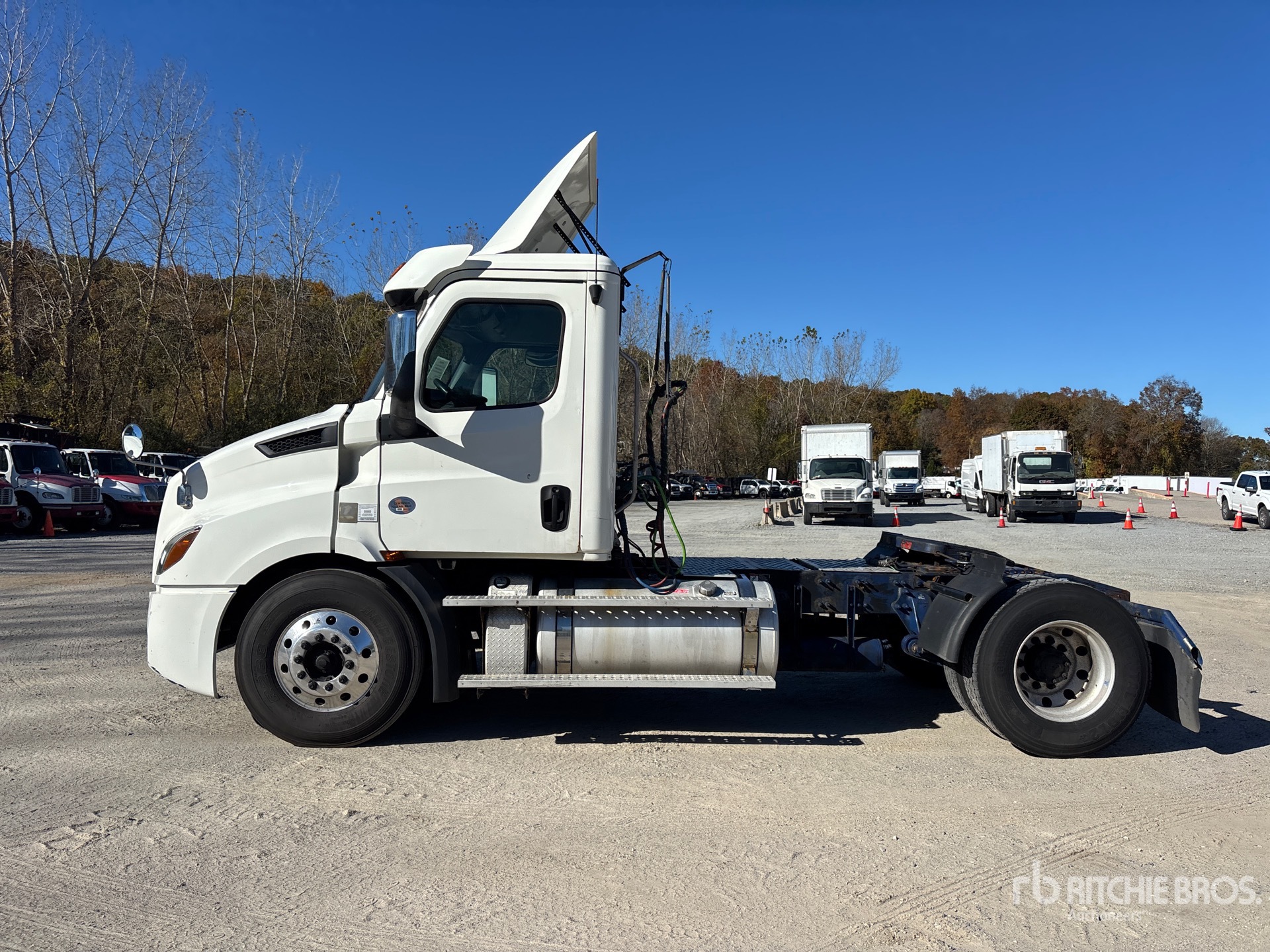 2019 Freightliner CASCADIA 116
