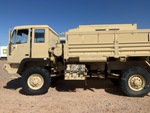 General Appearance with Paint