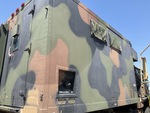 General Appearance with Paint