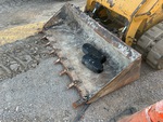 Specialty with