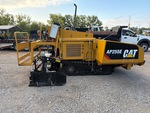 General Appearance with Paint