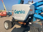 General Appearance with Paint