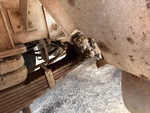 Underbody with Suspension Bushings