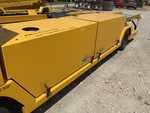 General Appearance with Paint