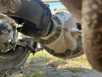 4 Underbody - Truck with Eje trasero
