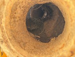 Dust Collector with