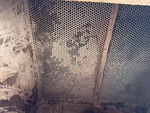 Dust Collector with