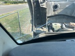 General Appearance with Glass