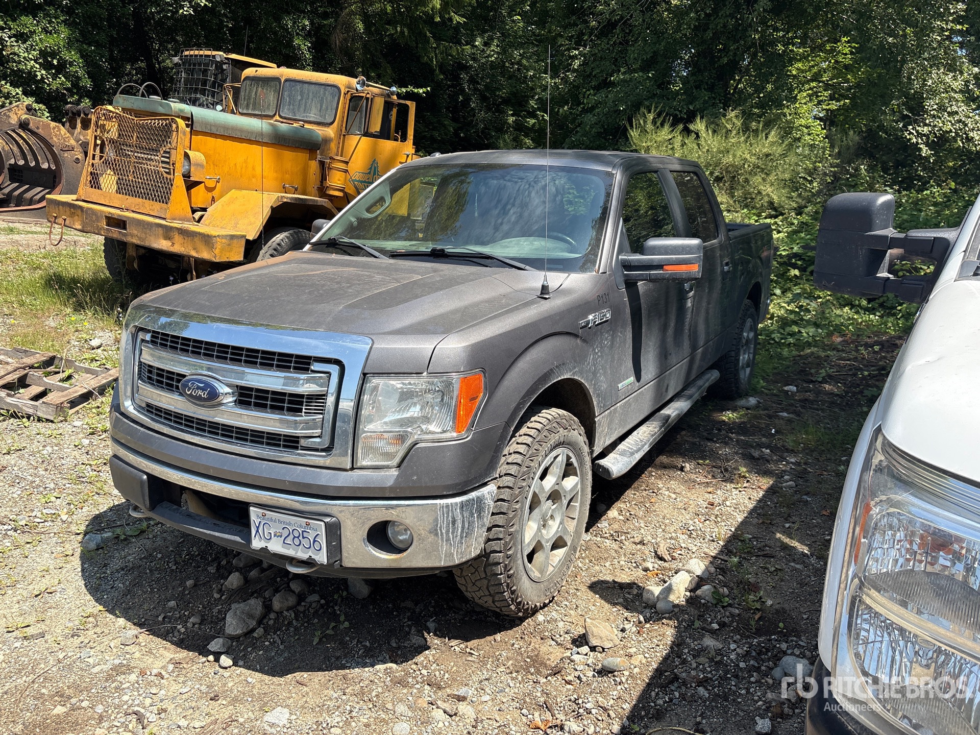 General Appearance with Featured Photo