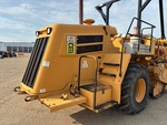 General Appearance with Paint