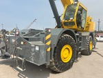General Appearance with Paint