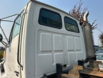 General Appearance with Paint