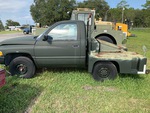 General Appearance with Paint