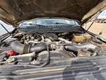 Motore with