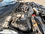 Motore with