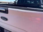 General Appearance with Paint