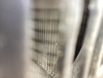 Engine with Radiator