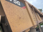 General Appearance with Paint
