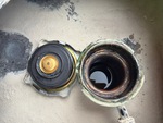 Engine with Radiator