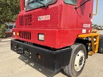 General Appearance with Paint