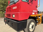General Appearance with Paint