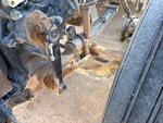 Underbody with Suspension Springs/Hangers