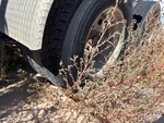Underbody with Left Front Drive Tires