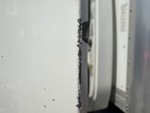 General Appearance with Pintura