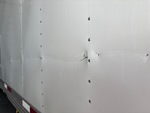 General Appearance with Pintura