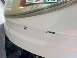 General Appearance with Pintura