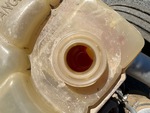 Engine with Radiator