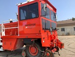 General Appearance with Paint
