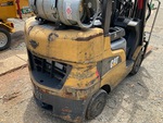 General Appearance with Paint