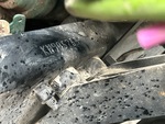 General Appearance with Frame Stamp Serial Number/VIN Photo