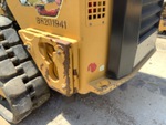 General Appearance with Paint