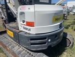 General Appearance with Paint
