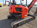 General Appearance with Paint
