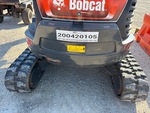 General Appearance with Paint
