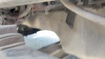 4 Engine with Oil Leaks