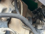 Motor with Emission Label